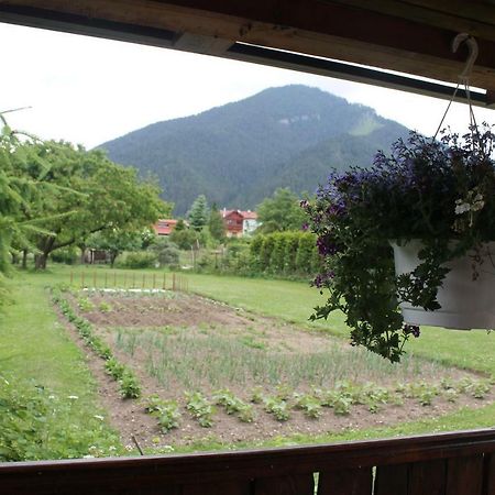 Apartmán Turista Pavčina Lehota Exterior foto