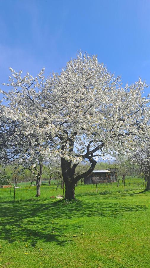 Apartmán Turista Pavčina Lehota Exterior foto
